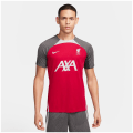 Nike Liverpoll FC NK DF STRK K Herren T-Shirt