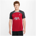 Nike Liverpoll FC NK DF STRK K Herren T-Shirt