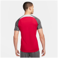 Nike Liverpoll FC NK DF STRK K Herren T-Shirt