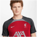 Nike Liverpoll FC NK DF STRK K Herren T-Shirt