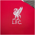 Nike Liverpoll FC NK DF STRK K Herren T-Shirt