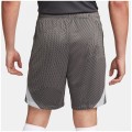 Nike Liverpoll FC NK DF STRK KZ Herren Shorts