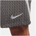 Nike Liverpoll FC NK DF STRK KZ Herren Shorts