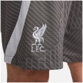 Nike Liverpoll FC NK DF STRK KZ Herren Shorts