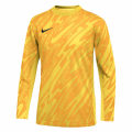 Nike Y NK DF GARDIEN V GK LS Kinder T-Shirt