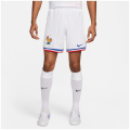 Nike Frankreich NK DF Stad HM Herren Shorts