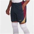 Nike FC Barcelona NK DF Strk KZ Herren Shorts