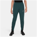 Nike Therma-Fit Academy23 Kinder Trainingshose