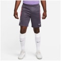 Nike Liverpoll FC NK DF STRK KZ 3R Herren Fußballhose