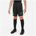 Nike Academy Player Edition:CR7 Dri-Fit Kinder Shorts