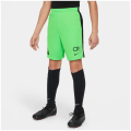 Nike Academy Player Edition:CR7 Dri-Fit Kinder Shorts