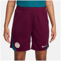 Nike Paris Saint Germain NK DF Strk KZ Herren Shorts