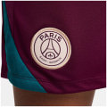 Nike Paris Saint Germain NK DF Strk KZ Herren Shorts