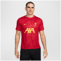 Nike Liverpool FC MNK DF Acdpr Sstop K PM Herren T-Shirt