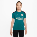 Nike Paris Saint Germain NK DF Strk SS K Kinder Trikot