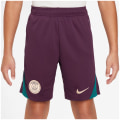 Nike Paris Saint Germain Dri-Fit Strike KZ Kinder Shorts