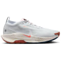 Nike Pegasus Trail 5 Gore-Tex Trail Herren Laufschuhe