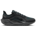 Nike Pegasus 41 Gore-Tex Waterproof Road Herren Laufschuhe