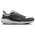 Nike Pegasus 41 GTX Waterproof Road Herren Laufschuhe