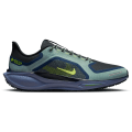 Nike Pegasus 41 GTX Waterproof Road Herren Laufschuhe