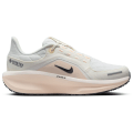 Nike Winflo 11 Gore-Tex Weatherized Road Damen