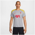 Nike Liverpool FC NK DF Strk K3R Herren Trikot