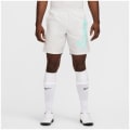 Nike Academy23 Herren Shorts