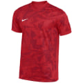 Nike Dri-Fit Prcsn VII Herren Trikot