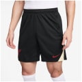 Nike Liverpool FC NK DF Strk KZ SE Herren Shorts