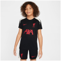 Nike Liverpool FC NK DF Strkk SE Kinder T-Shirt