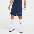 Nike Academy Dri-Fit Herren Shorts