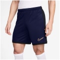 Nike Academy Dri-Fit Herren Shorts