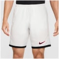 Nike Academy Dri-Fit Herren Shorts
