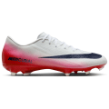 Nike Zoom Vapor 16 Academy FG/MG LV8 Herren Nockenschuhe