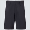 Oakley Baseline Hybrid 21 2.0 Herren Shorts