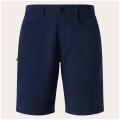 Oakley Baseline Hybrid 21 2.0 Herren Shorts