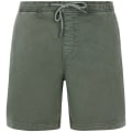 Protest PRTHoover Herren Shorts