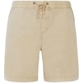 Protest PRTNivel Herren Shorts