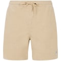 Protest PRTUleyo Herren Shorts