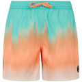 Protest PRTBowery Herren Badehose