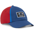 Puma BMW Motorsport Heritage Dad Cap