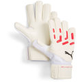 Puma Future Match NC Torwarthandschuhe