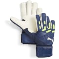 Puma Future Match NC Torwarthandschuhe