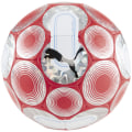 Puma Cage Ball Outdoor-Fußball