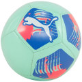 Puma Big Cat miniball Outdoor-Fußball