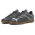 Puma Attacanto It Herren Hallenschuhe