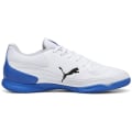 Puma Truco III