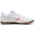 Puma Truco III