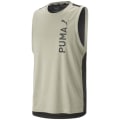 Puma Fit Ultrabreathe Q2 Herren Shirt