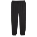 Puma FIT Polyspan Herren Sporthose